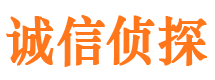 益阳诚信私家侦探公司